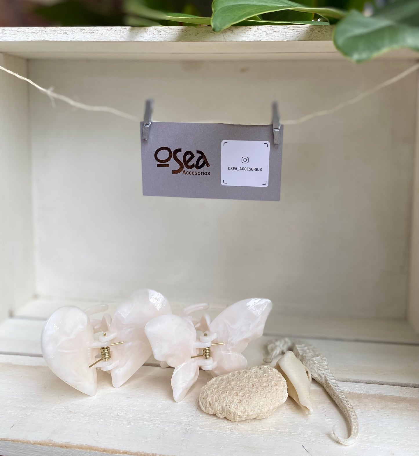 Set de caimanes corazón y mariposa en pasta