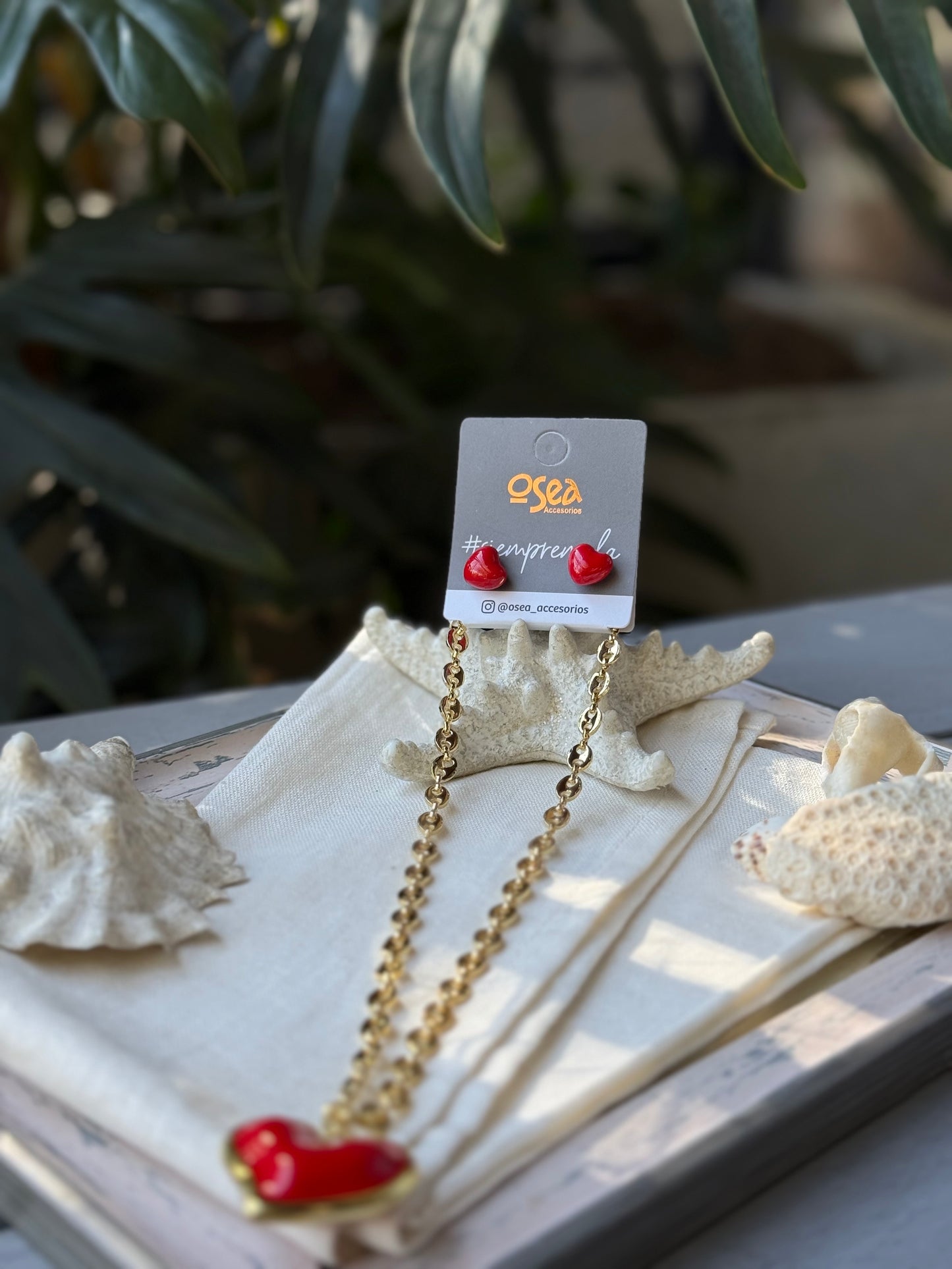 Set rodinado dije corazón