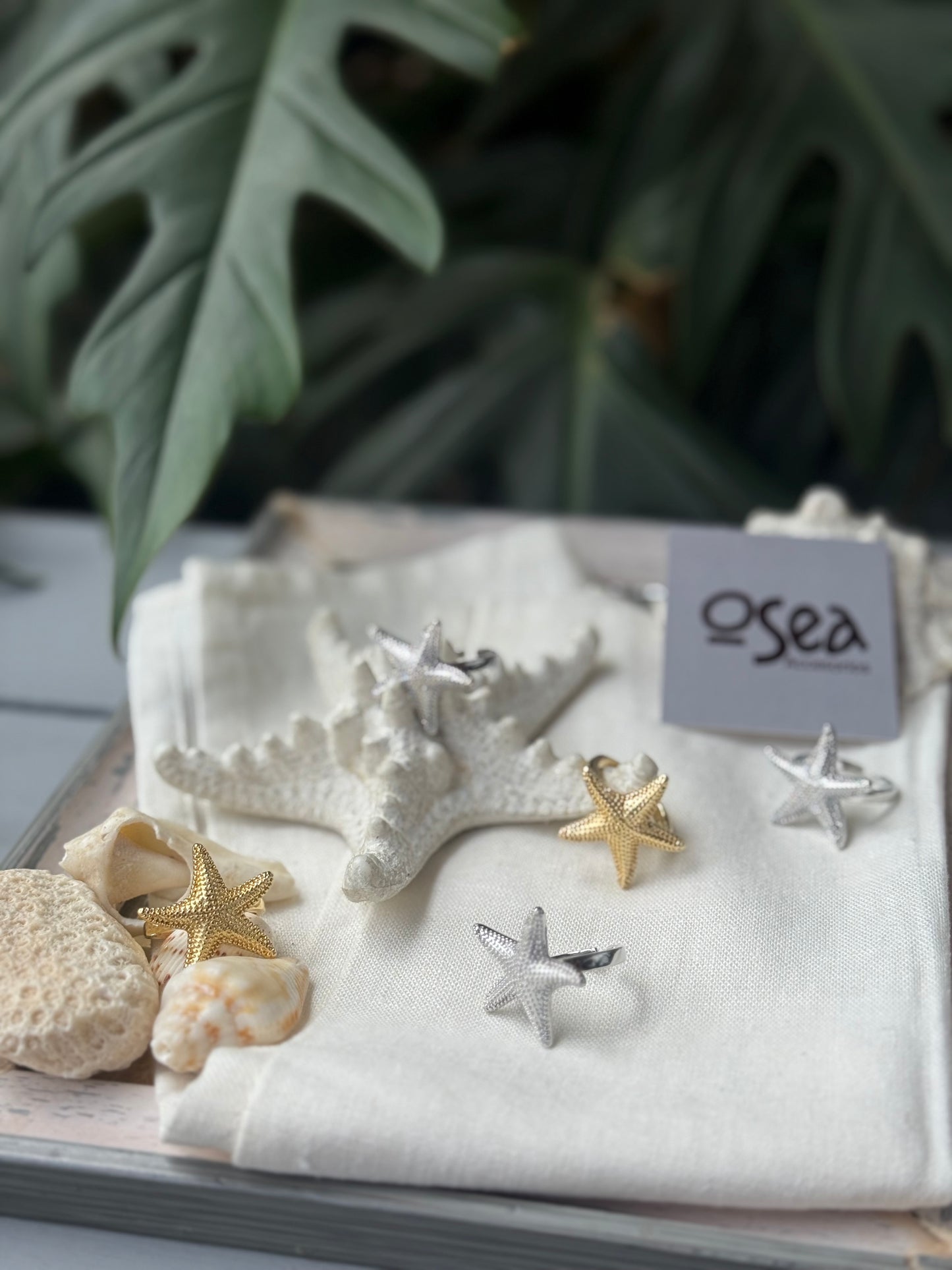 Anillo graduable estrella de mar