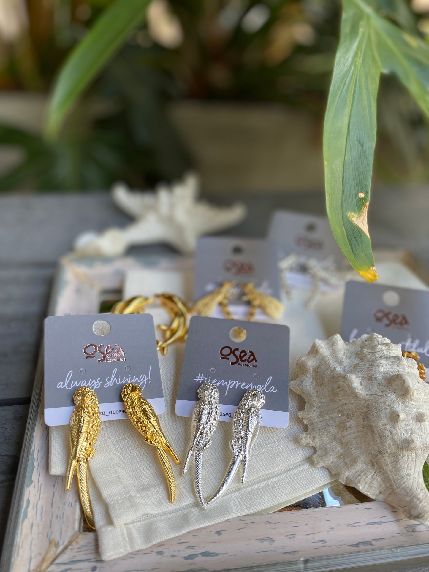 Aretes de loros baño en oro y plata