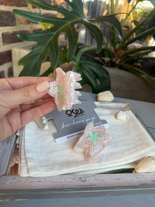 Caimán nácar estrella de mar