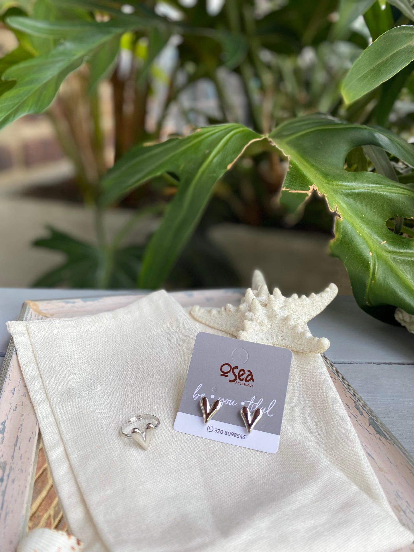 Set rodinado de anillo y topos de corazón