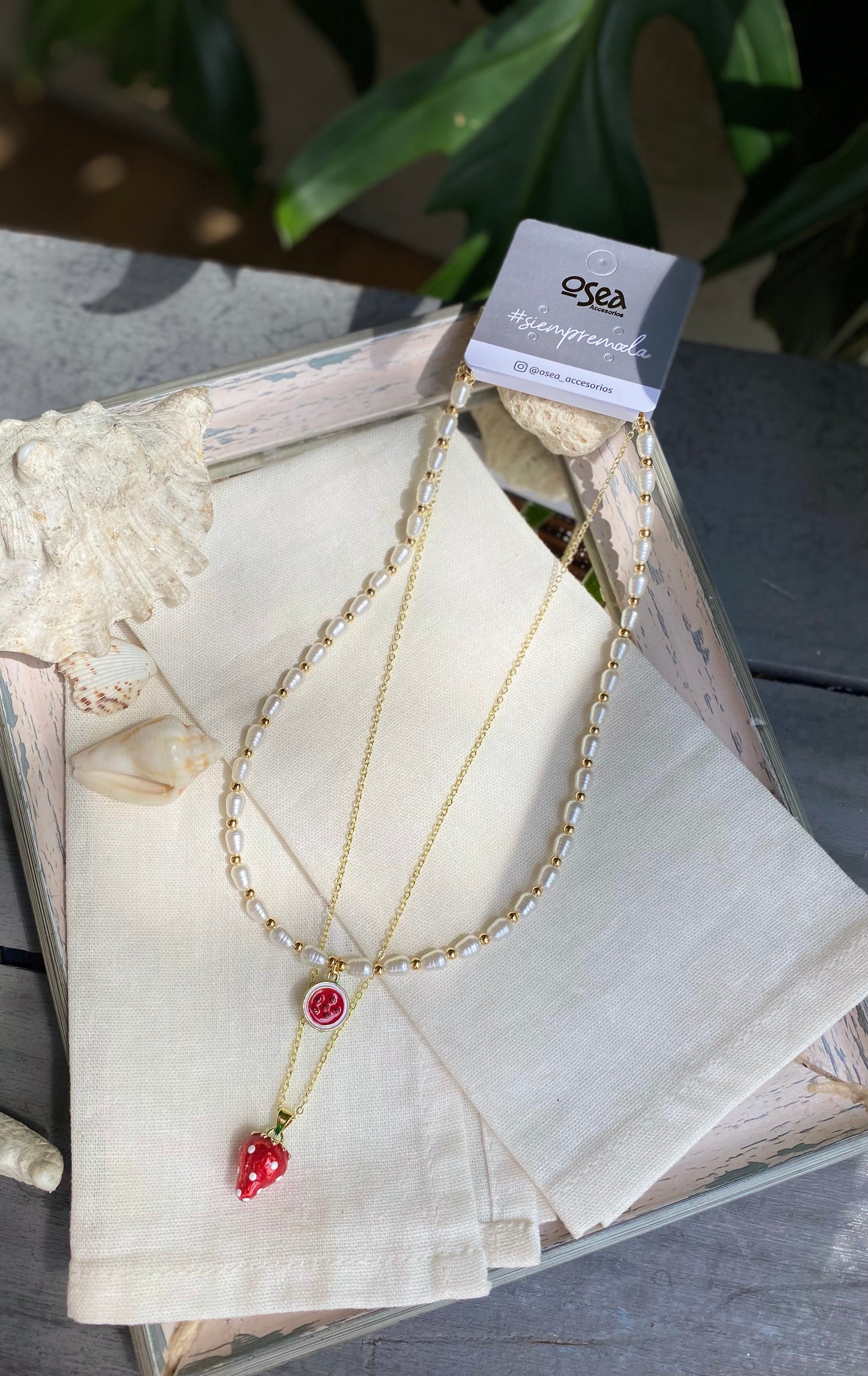 Set choker y cadena con dijes de frutas