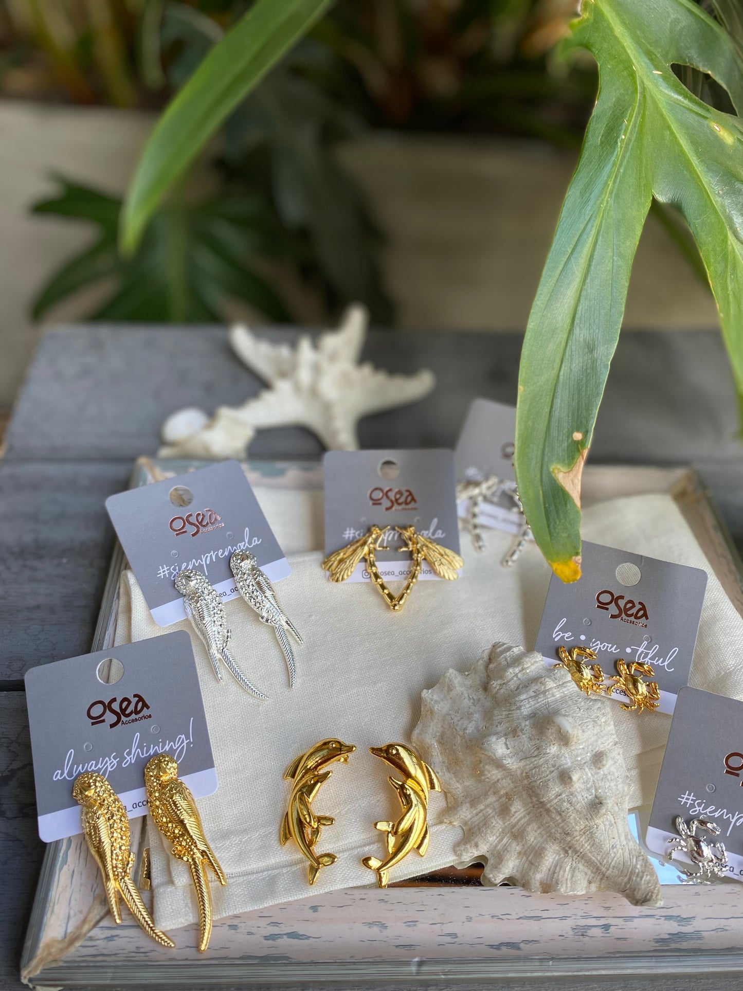 Aretes de loros baño en oro y plata