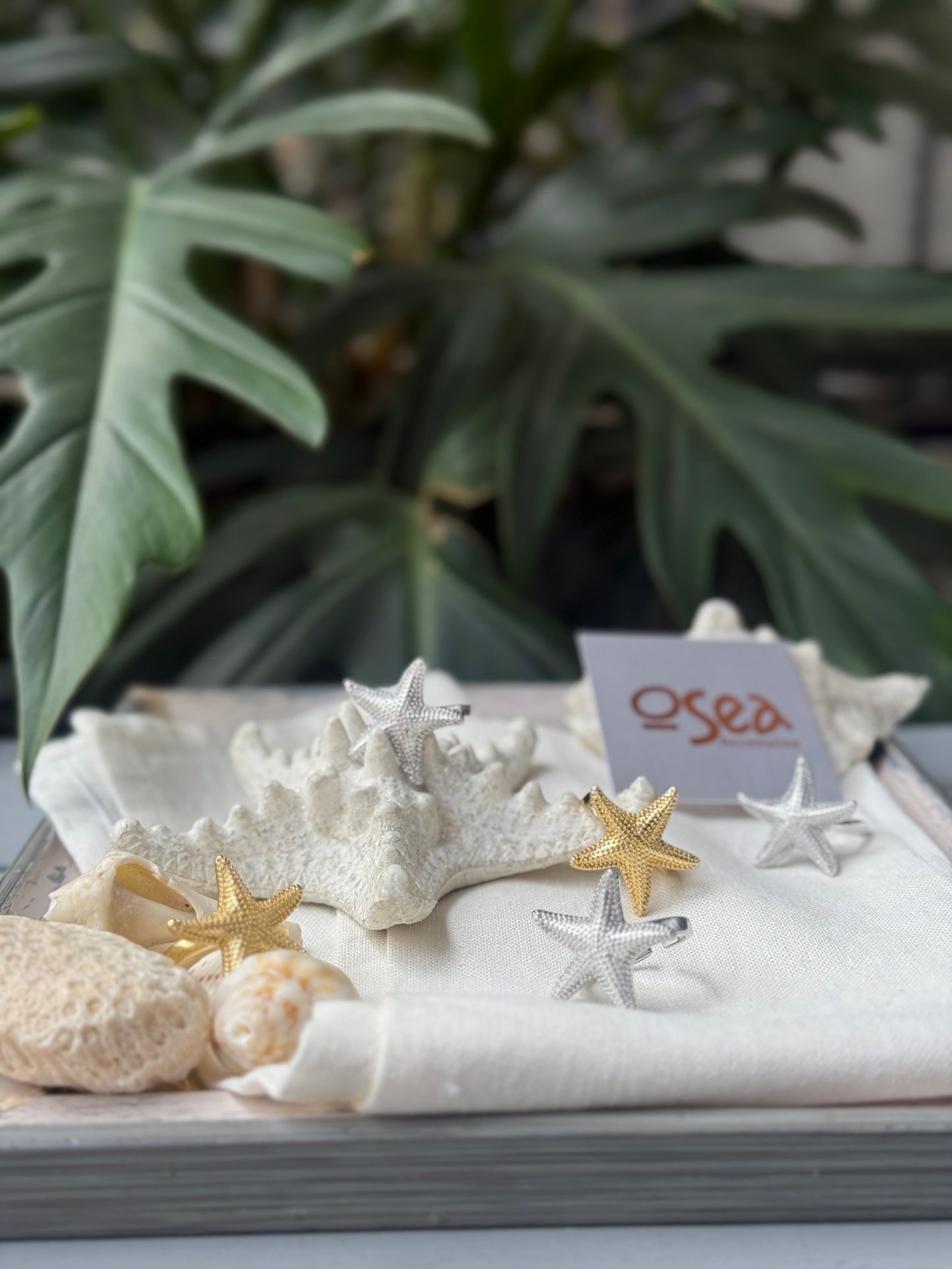 Anillo graduable estrella de mar