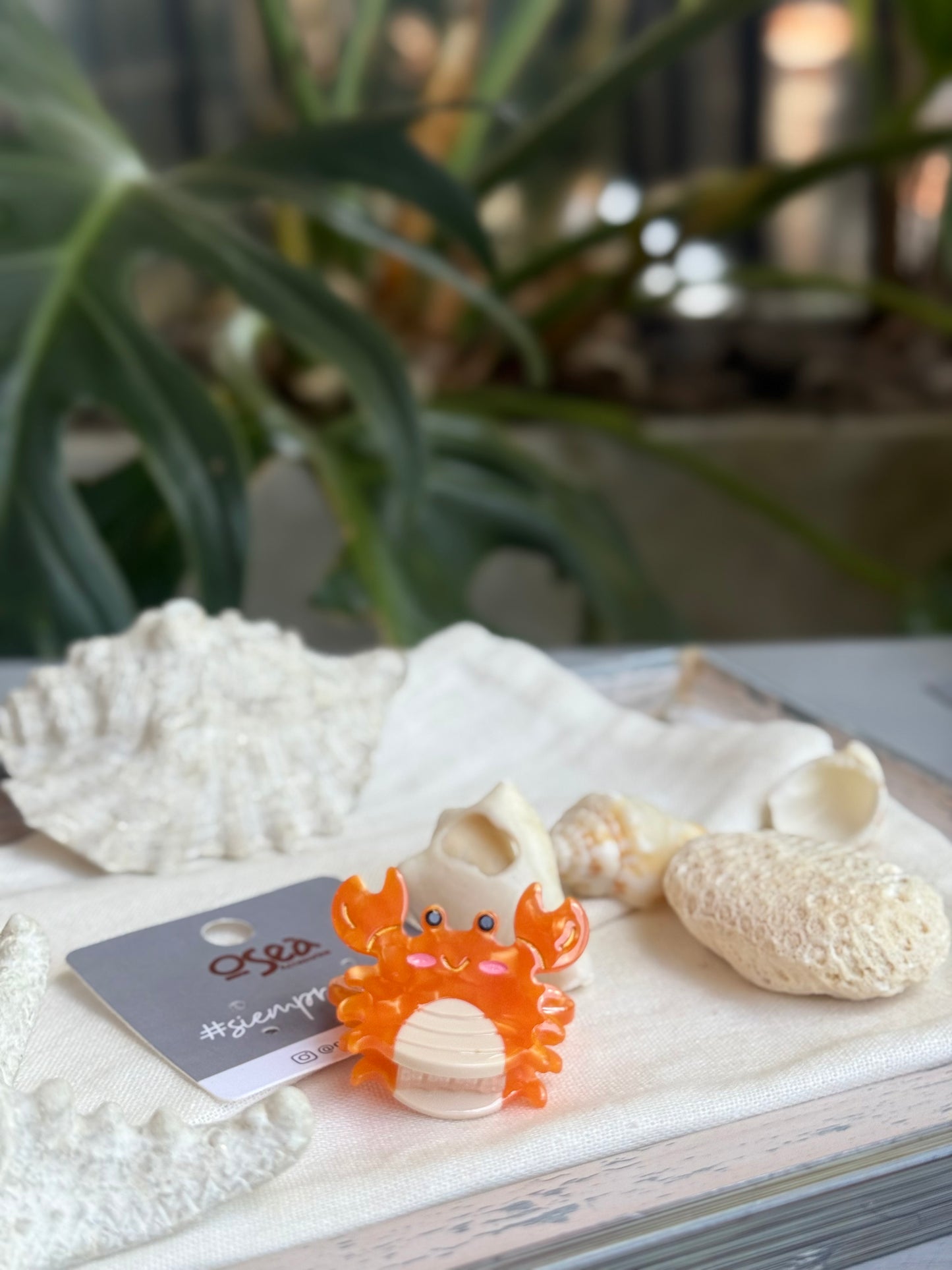 Caimán pequeño tipo nácar - hairclips