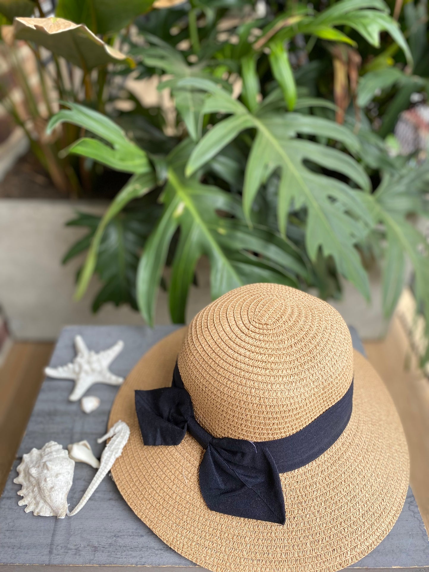 Sombrero moño cinta negra