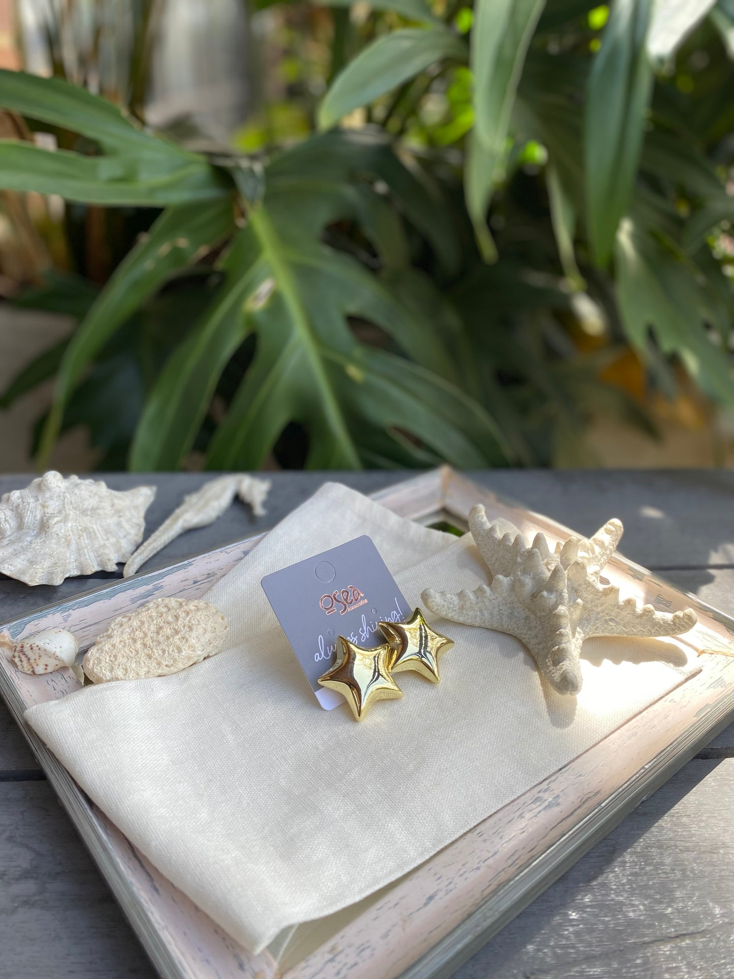 Topos rodinados de estrella chunky