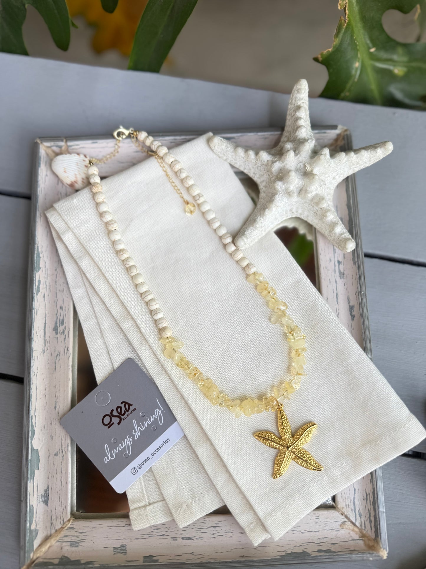 Collar piedra picada dije estrella de mar