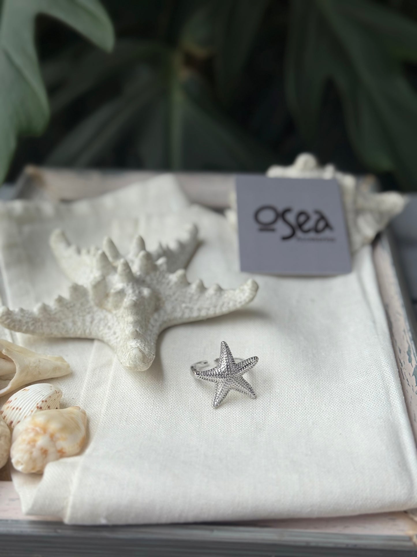 Anillo graduable estrella de mar