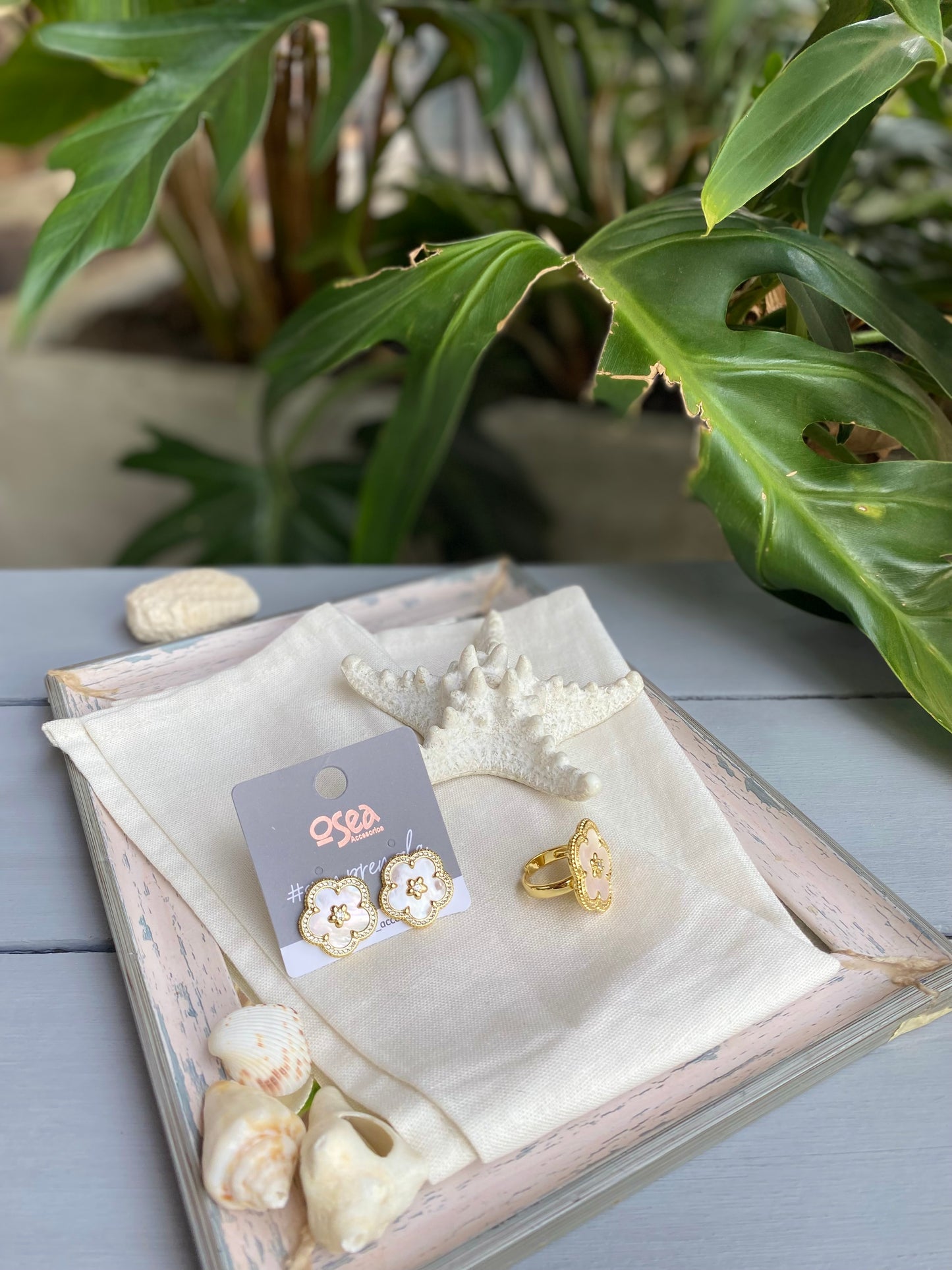Set o conjunto anillo y topos flor nácar