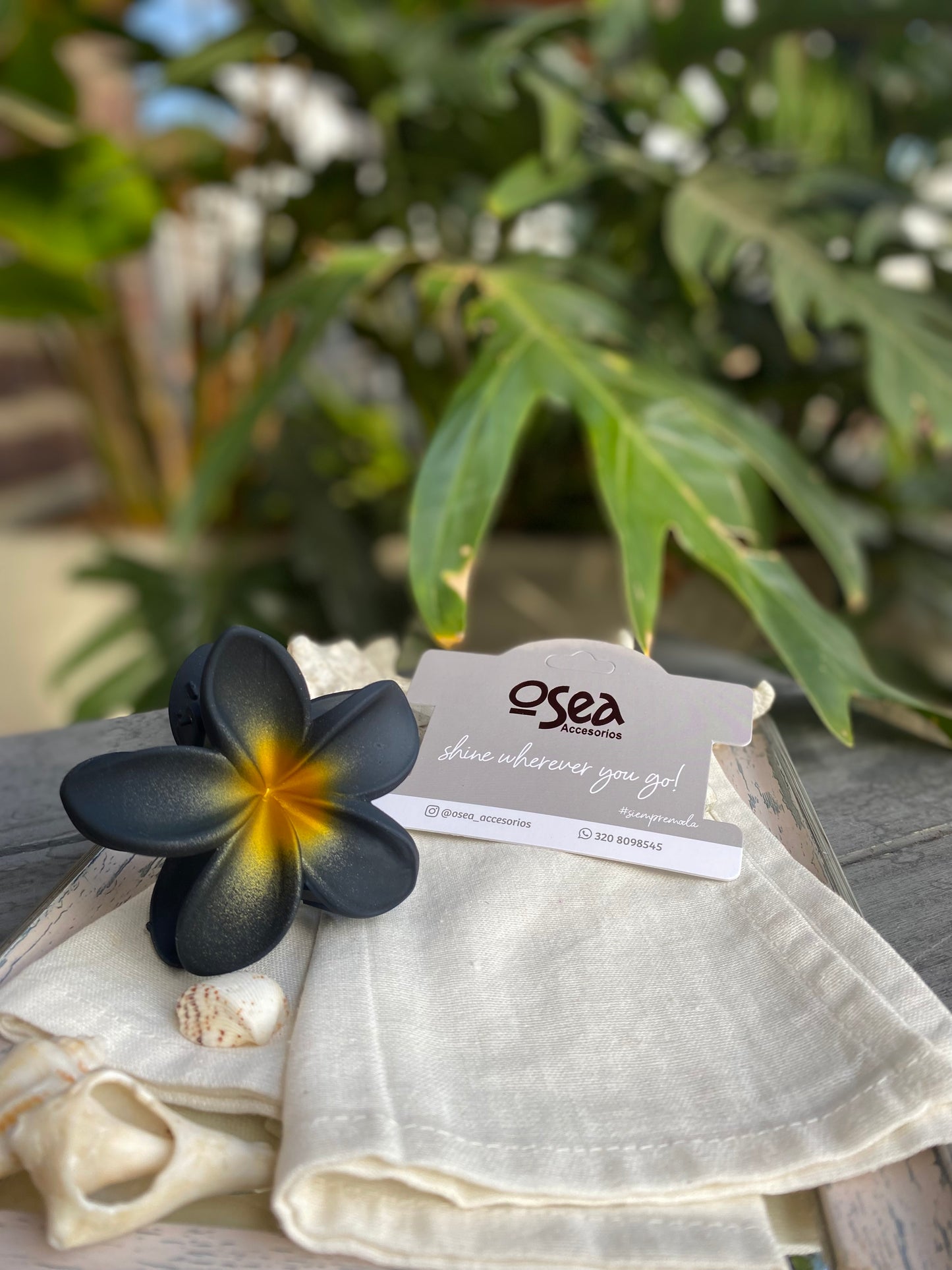 Caimán flor en pasta degradé