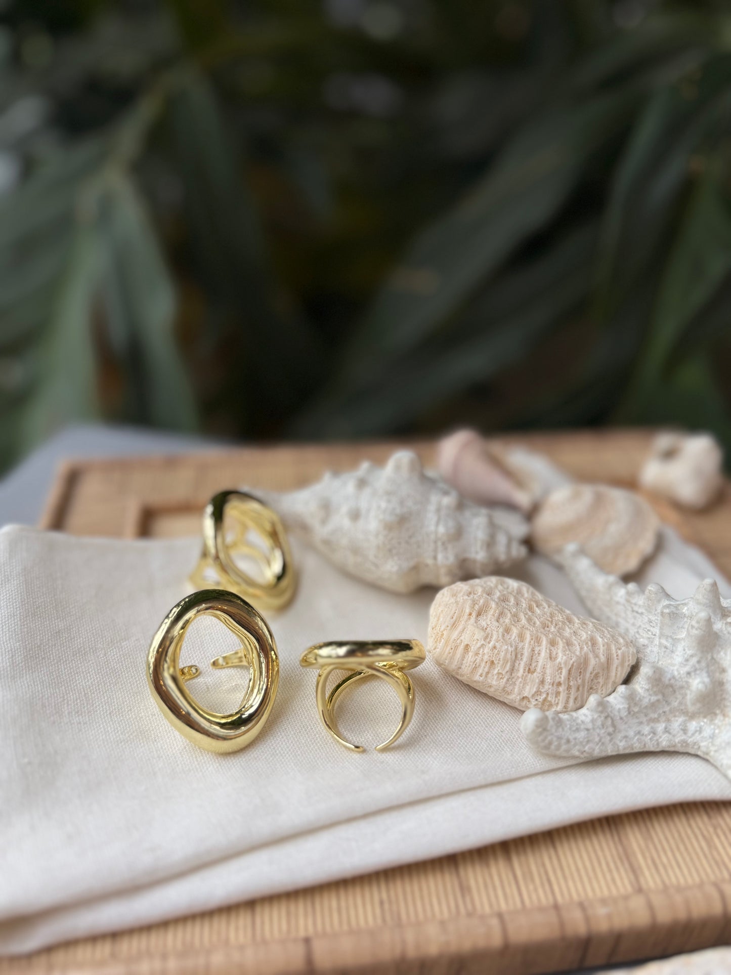 Maxi anillo graduable