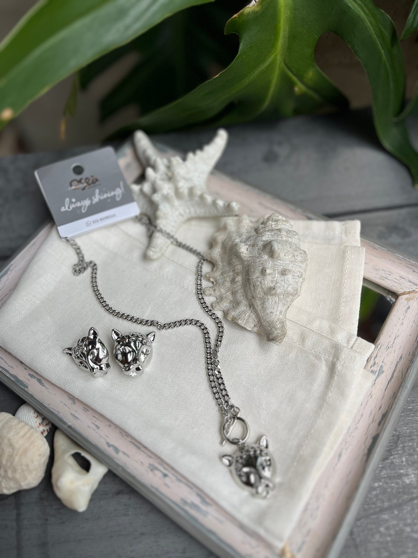 Set topos y cadena pantera