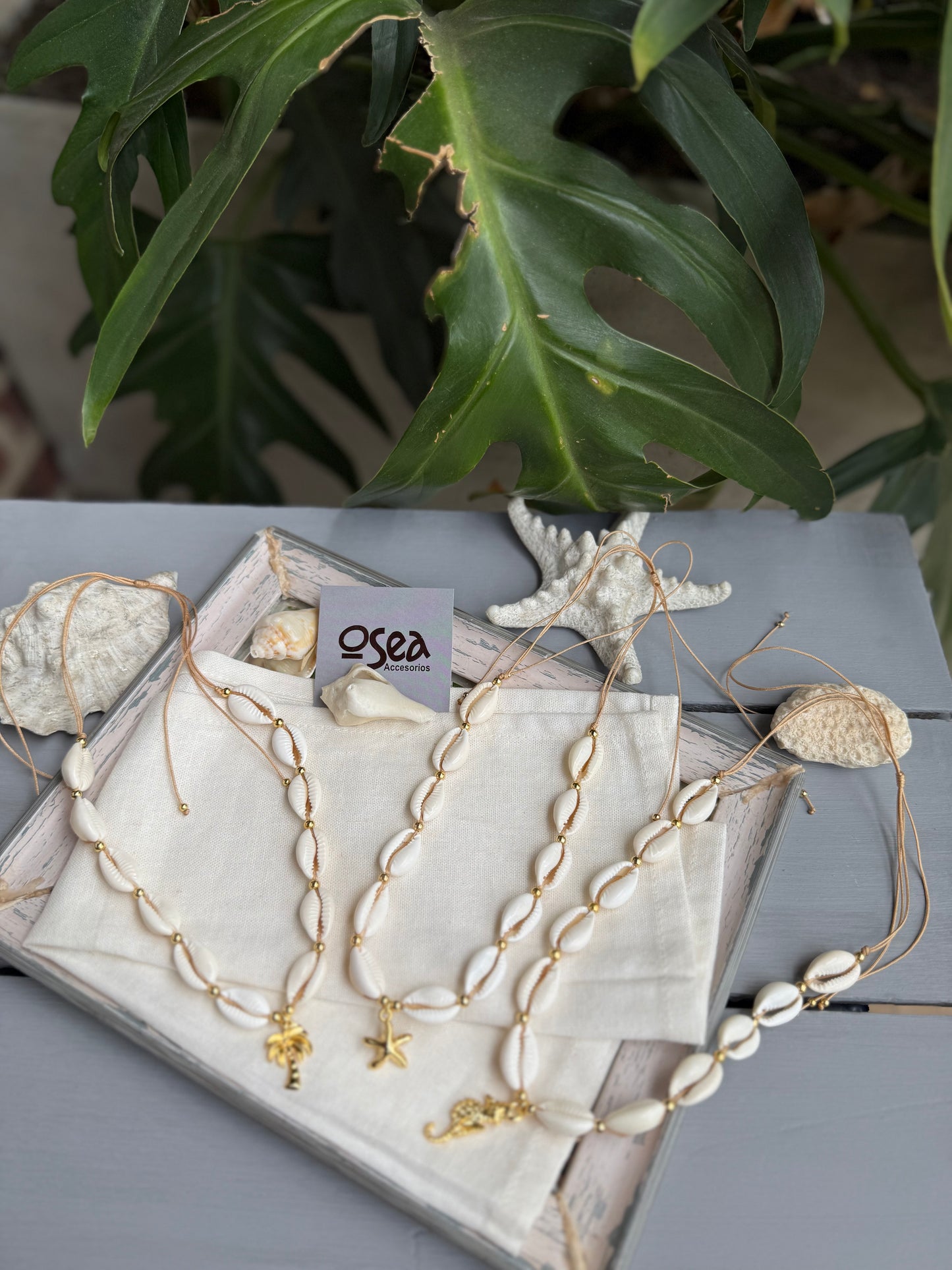 Choker en hilo con conchas, balín y dije
