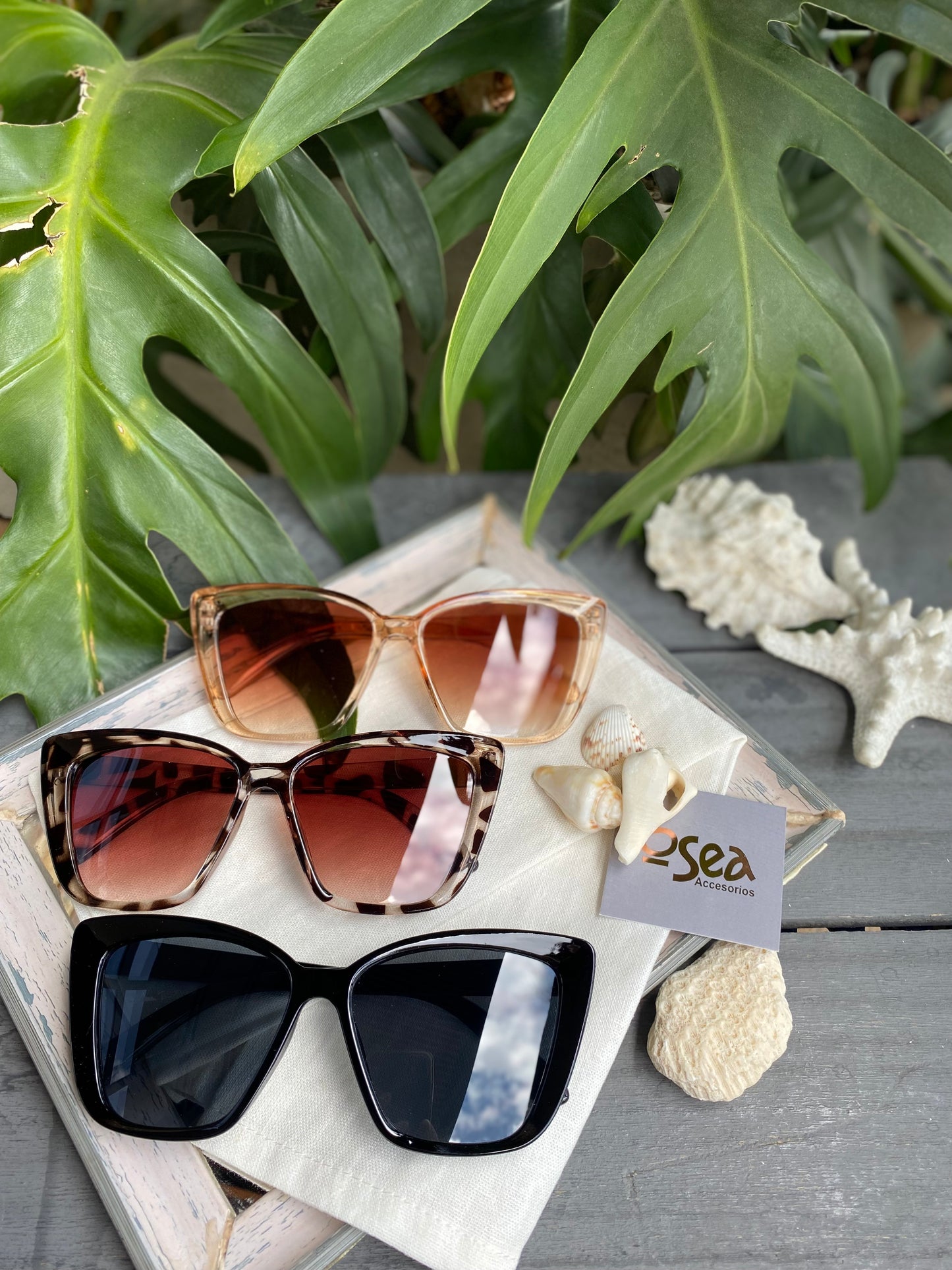 Gafas de sol vintage montura en pasta