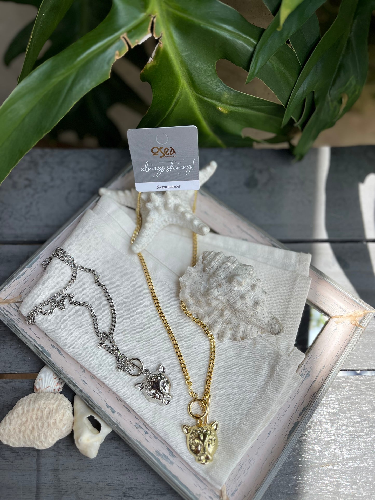 Set topos y cadena pantera