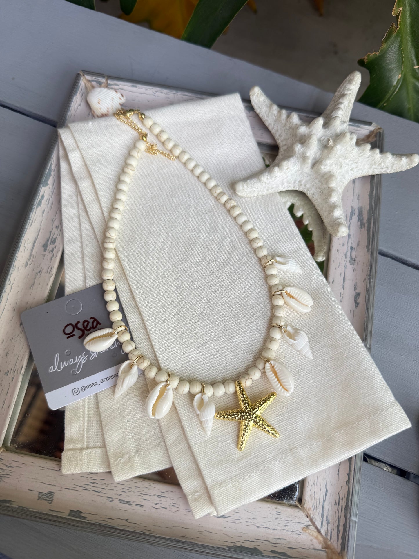 Collar conchas y estrella