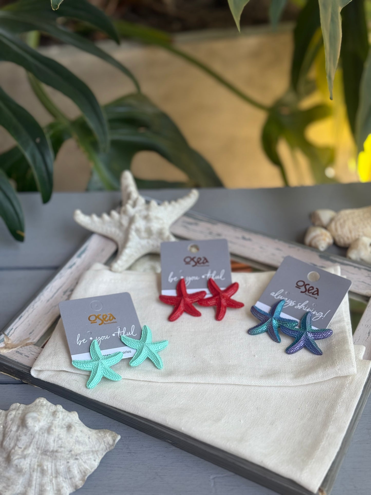 Topo estrella de mar esmaltado en colores