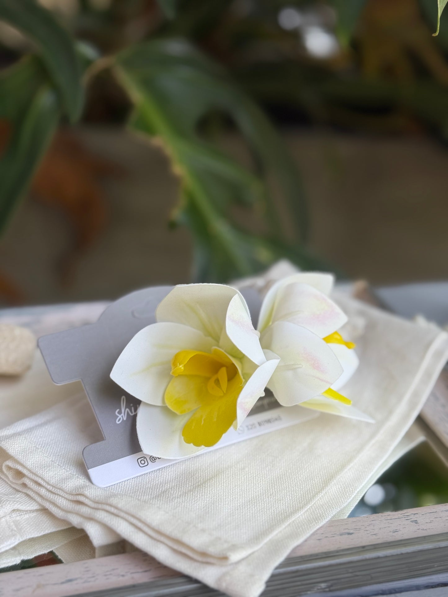 Pinza pico de loro orquídea doble