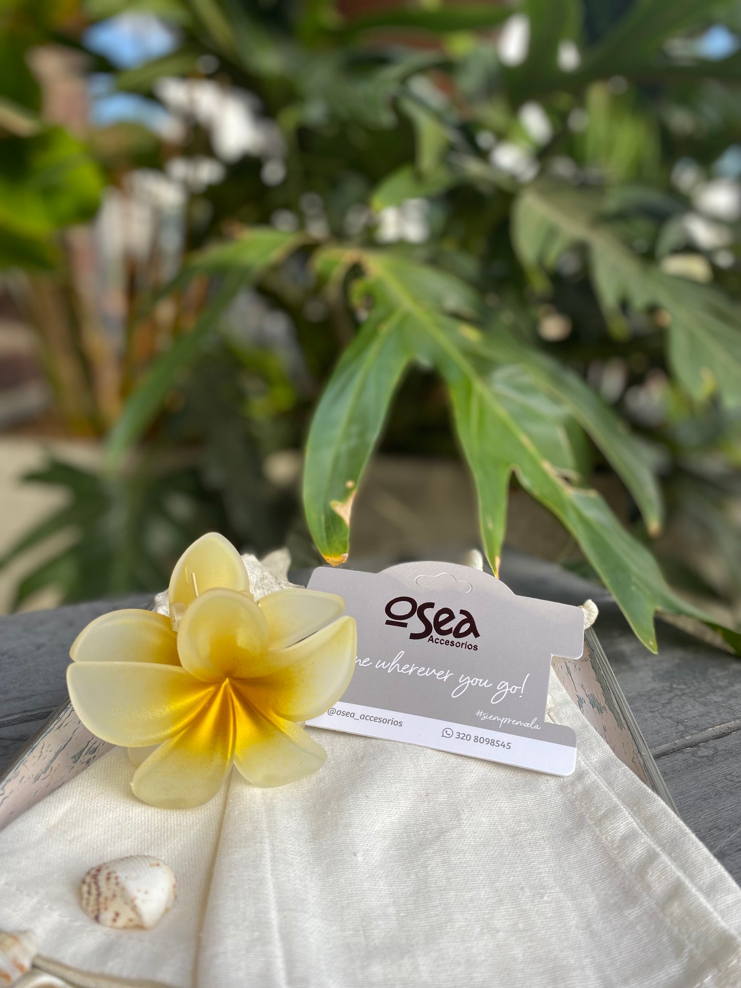 Caimán flor en pasta degradé