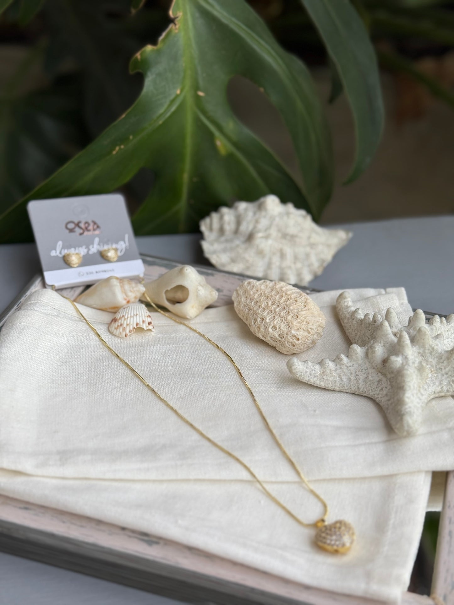 Set cadena y topos rodinados corazón y piedras
