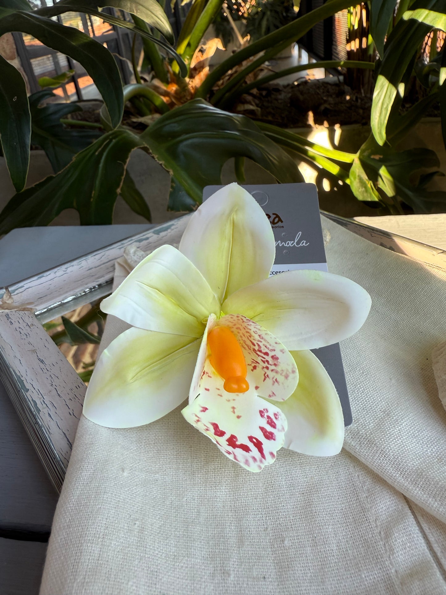 Flor con pinza pico de loro