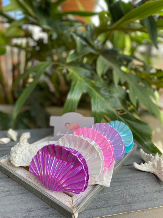 Caimán concha en pasta esmaltado