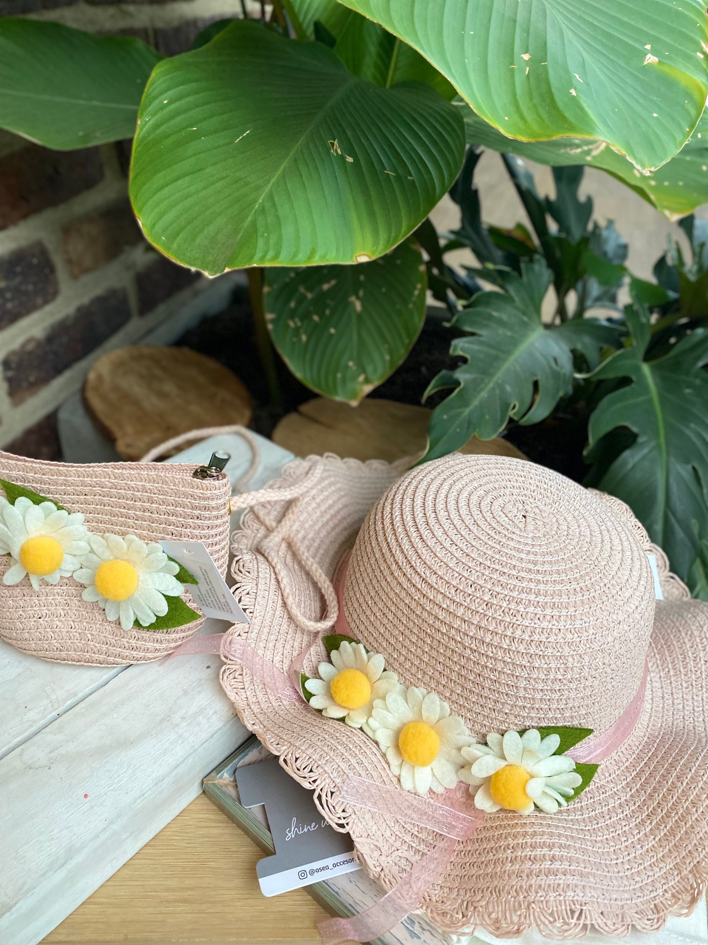 Set de sombrero y bolso para niña