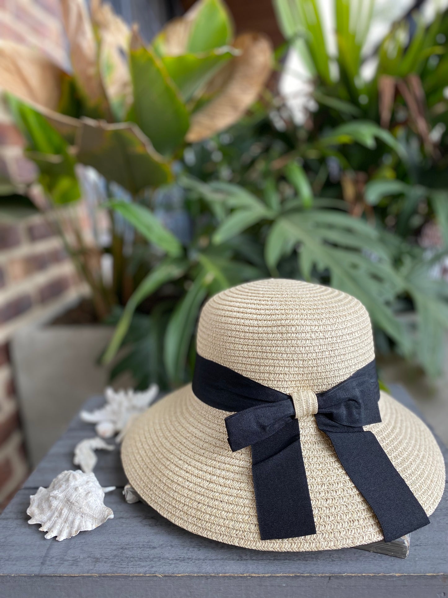 Sombrero cinta negra moño