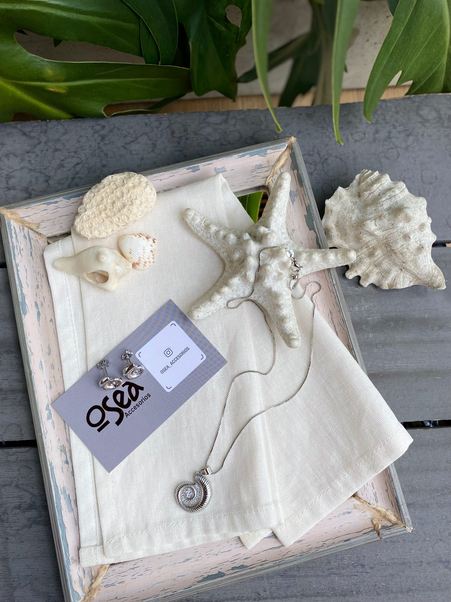 Set collar y topos caracol de mar