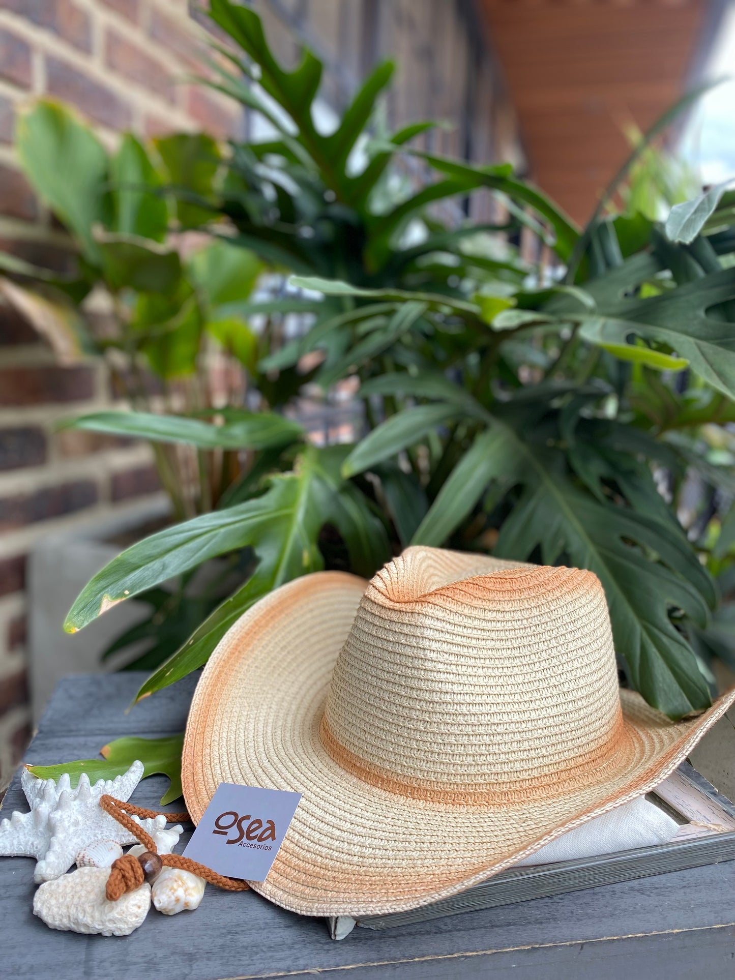 Sombrero playero tipo vaquero