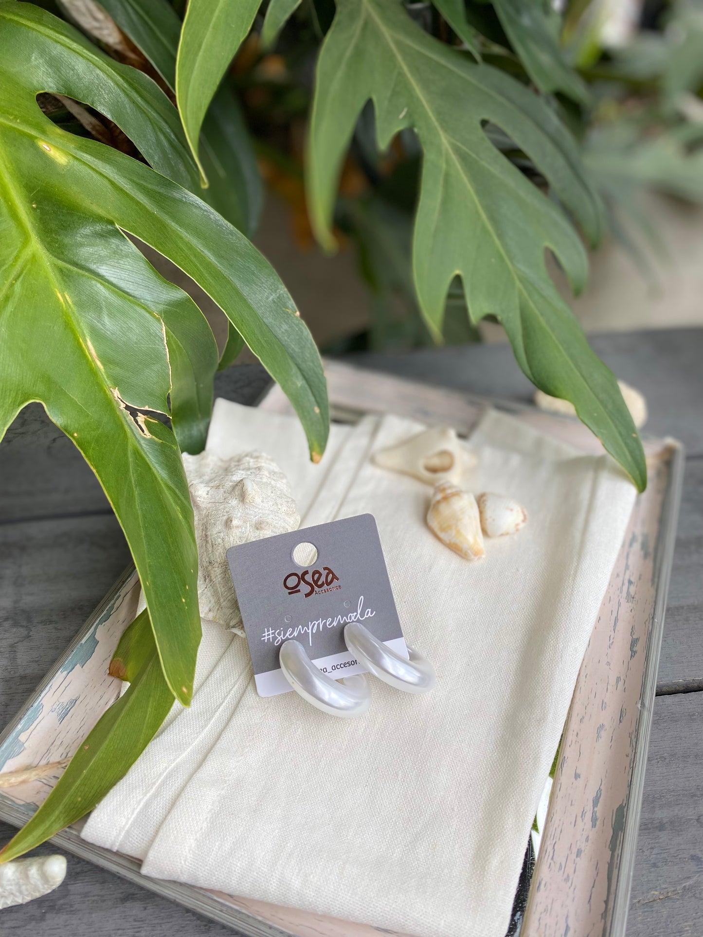 Candonga curva perlada