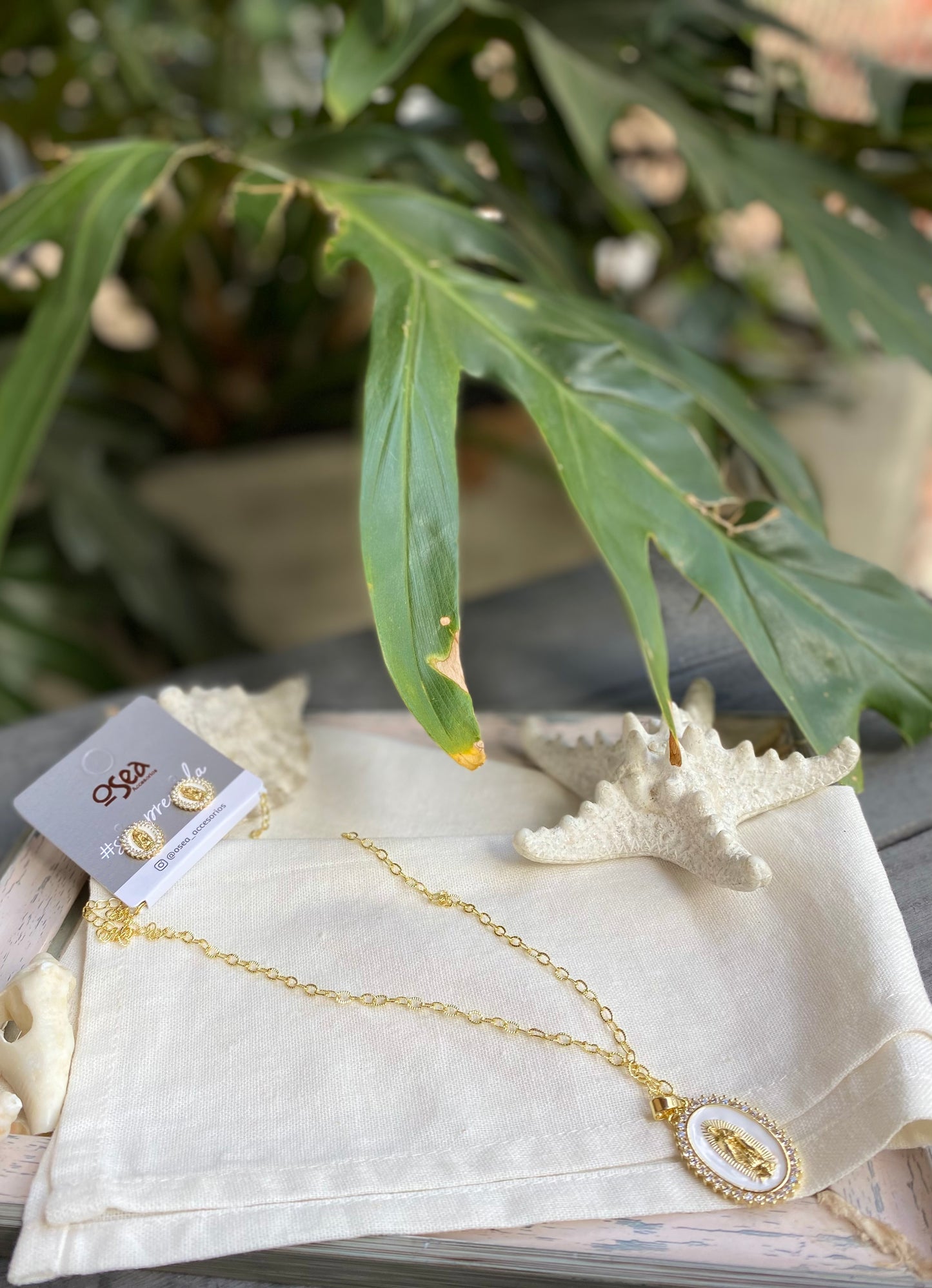 Set cadena y topos Virgen de Guadalupe