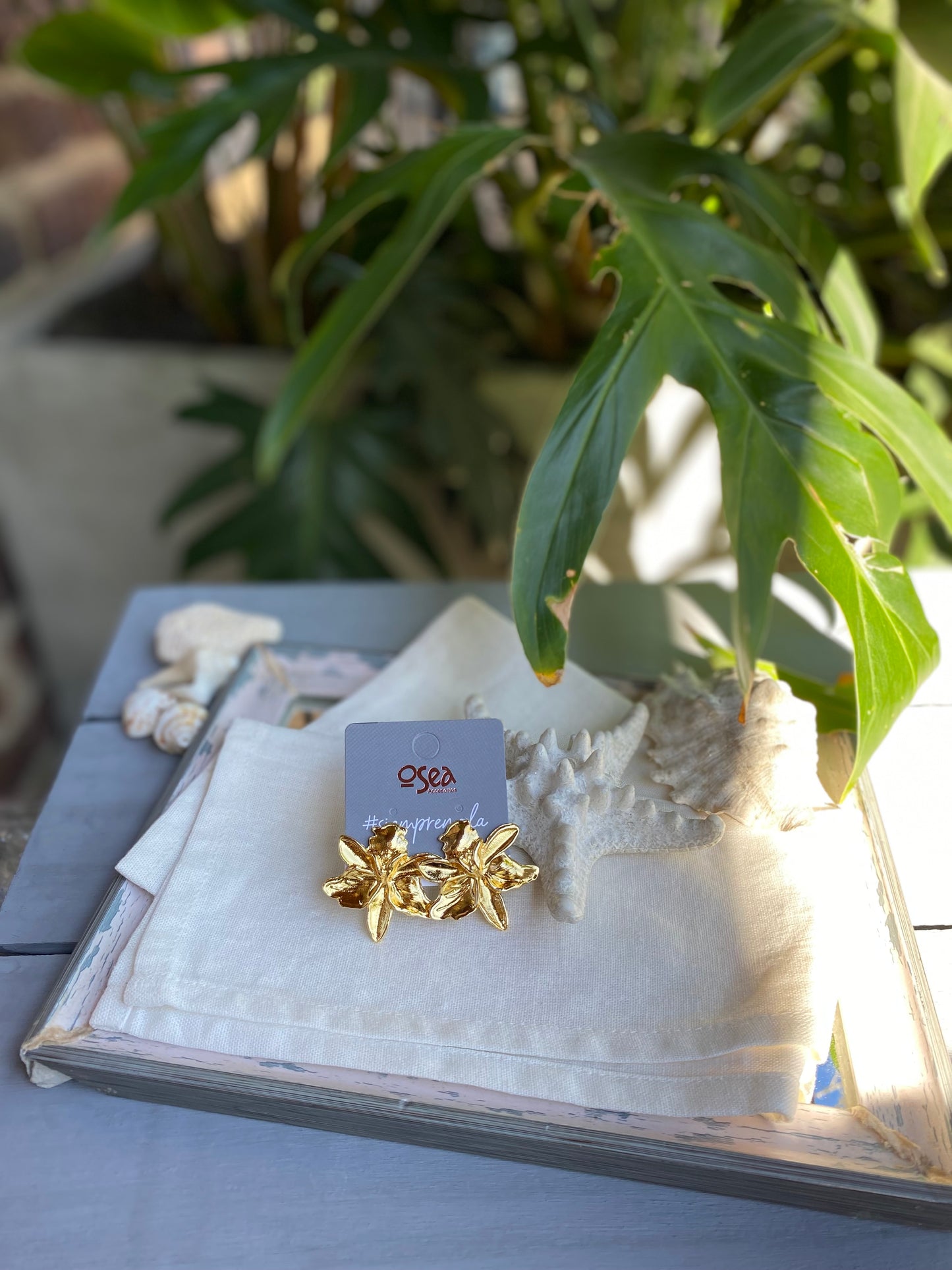 Topos de orquídea baño en oro 24k
