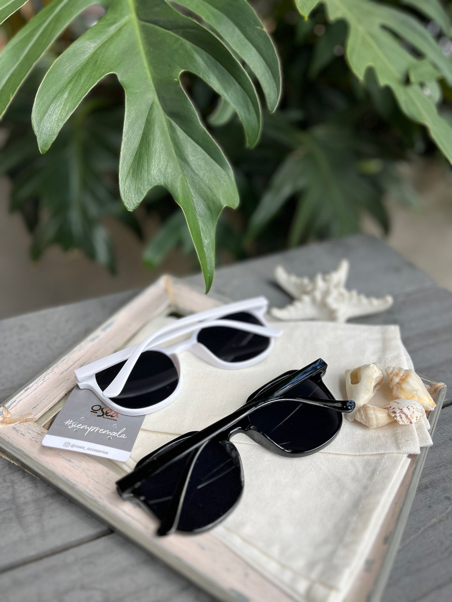 Gafas de sol en pasta