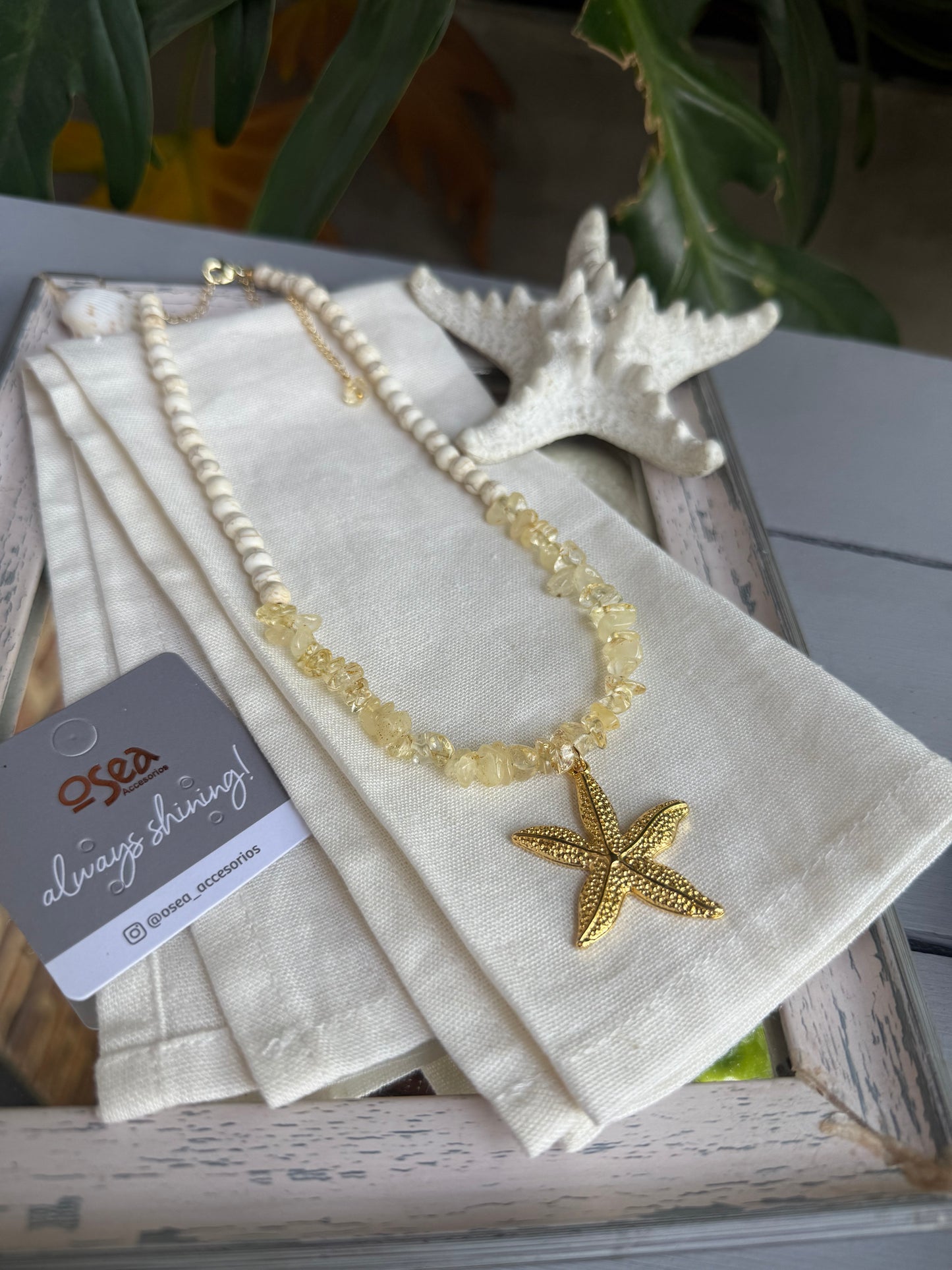 Collar piedra picada dije estrella de mar
