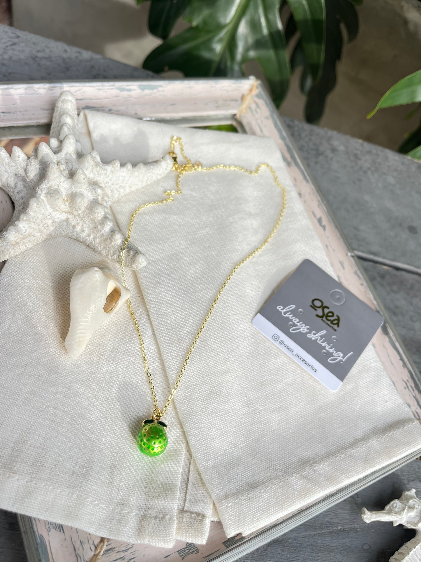 Cadena rodinada dije limón