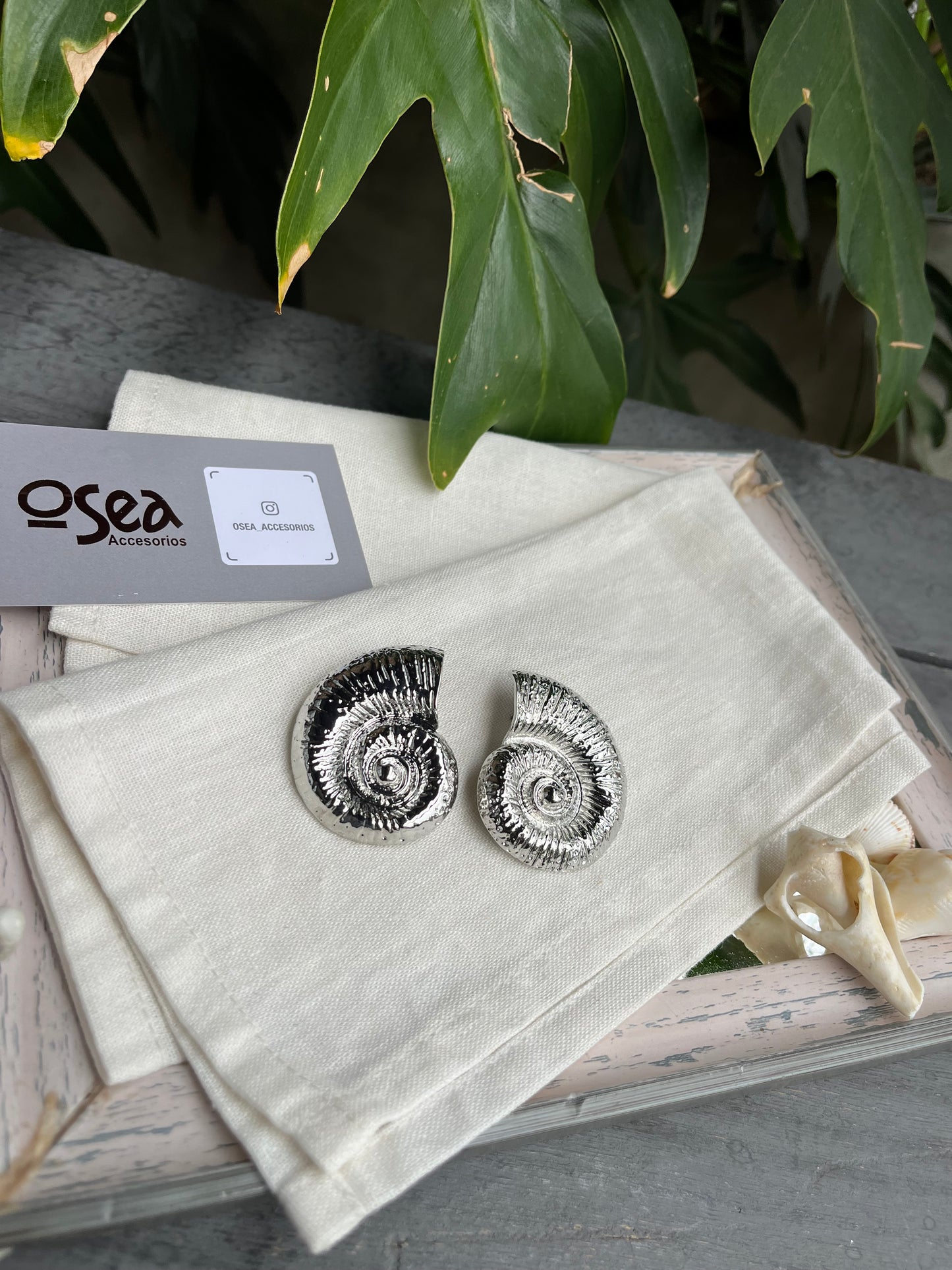 Arete grande en topo con forma de caracol