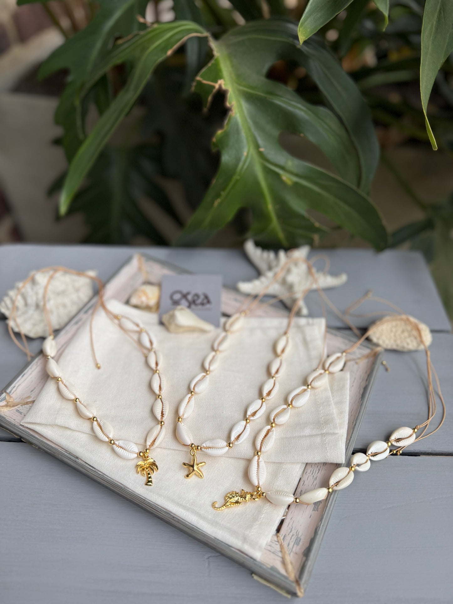 Choker en hilo con conchas, balín y dije