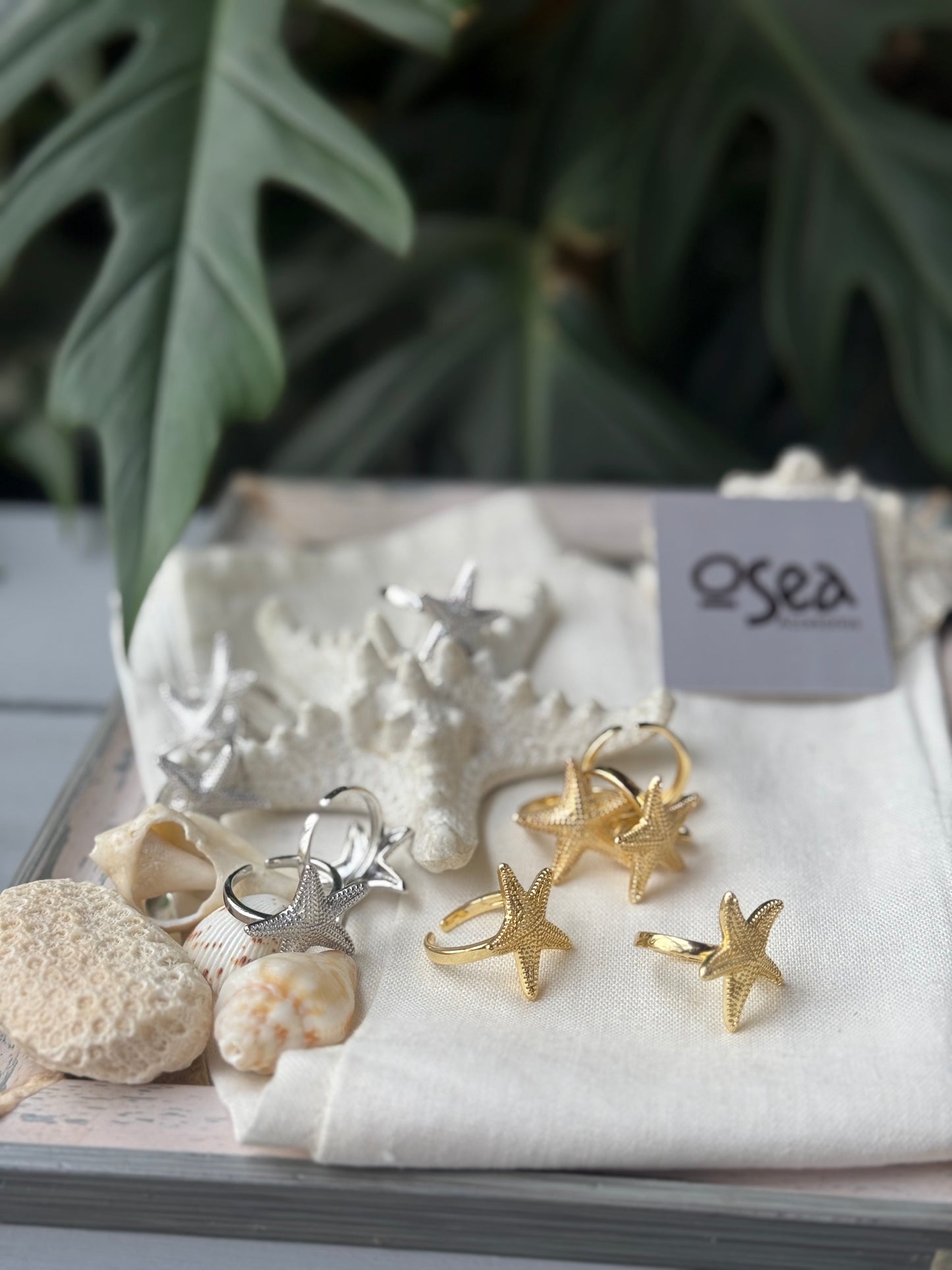 Anillo graduable estrella de mar
