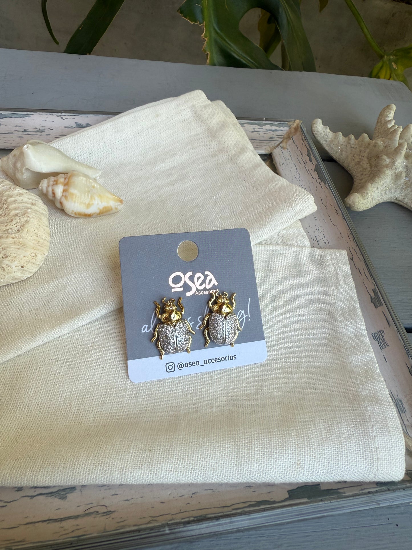 Arete cucaron rodinado con piedras
