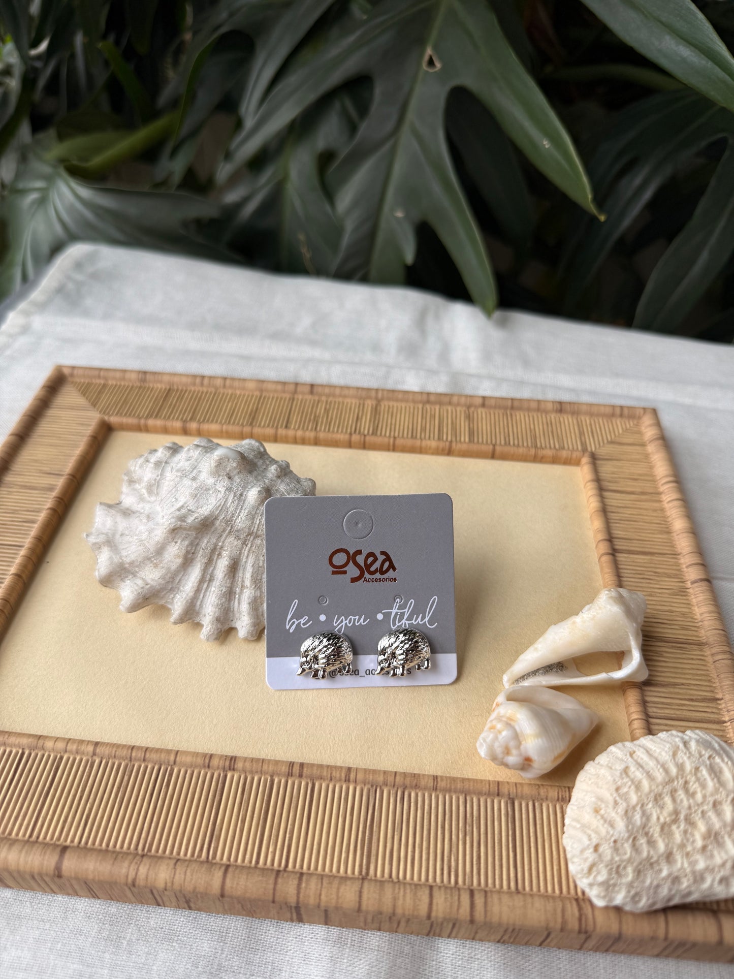 Topos rodinados de erizo