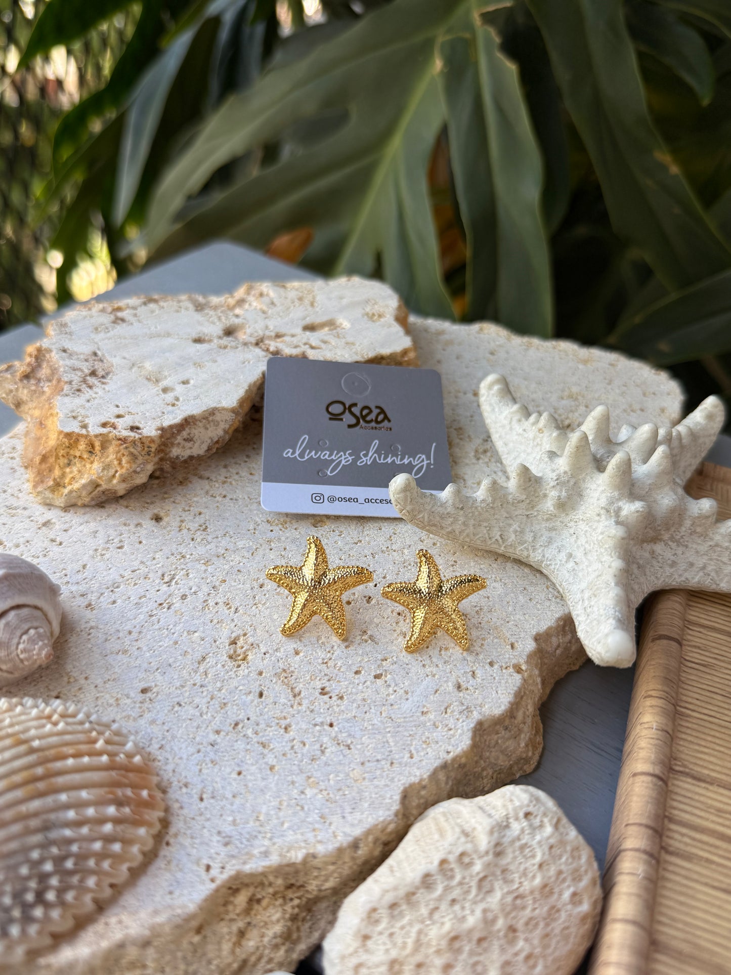 Topo estrella de mar baño de oro