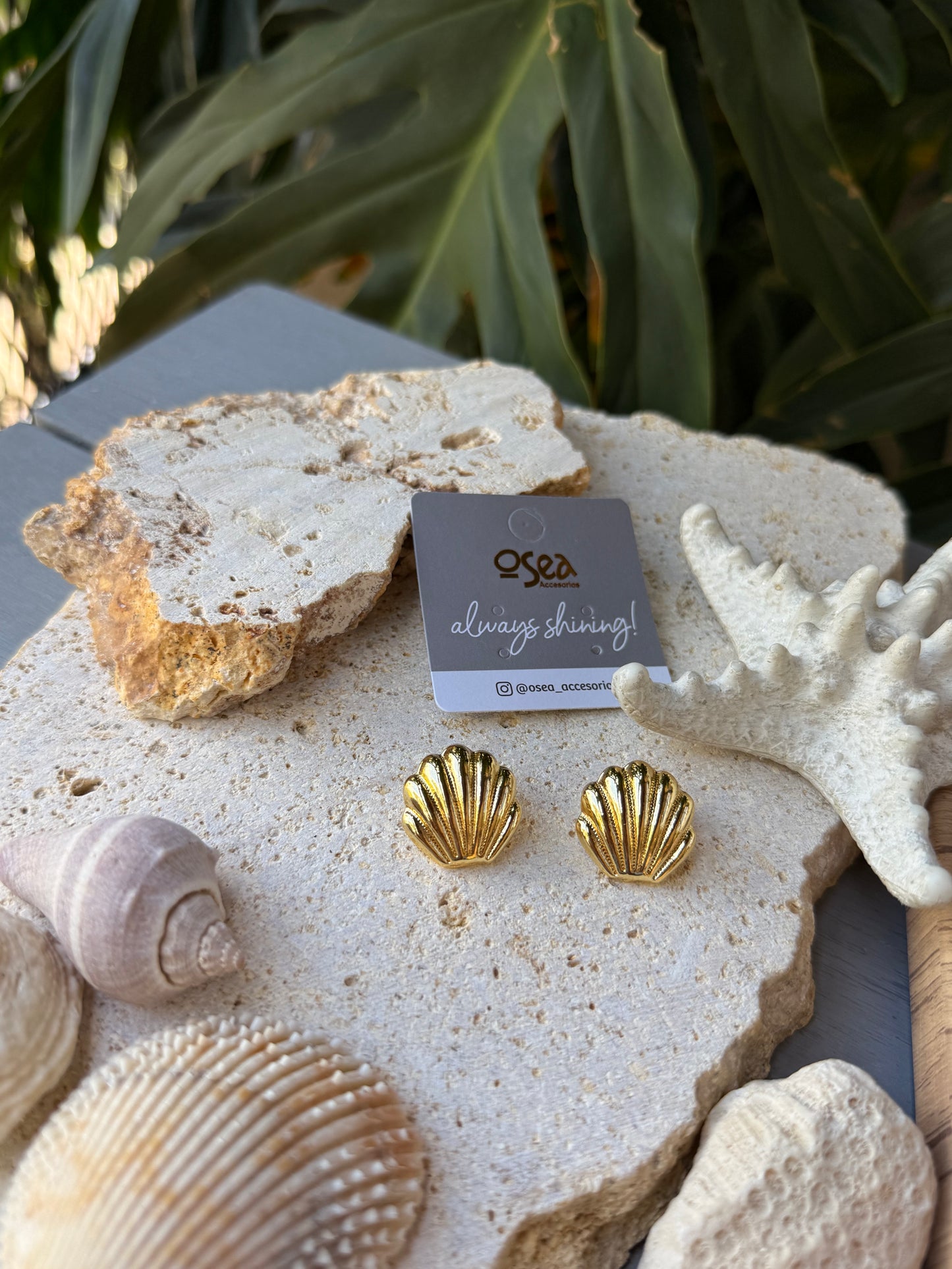 Arete ostra con baño de oro