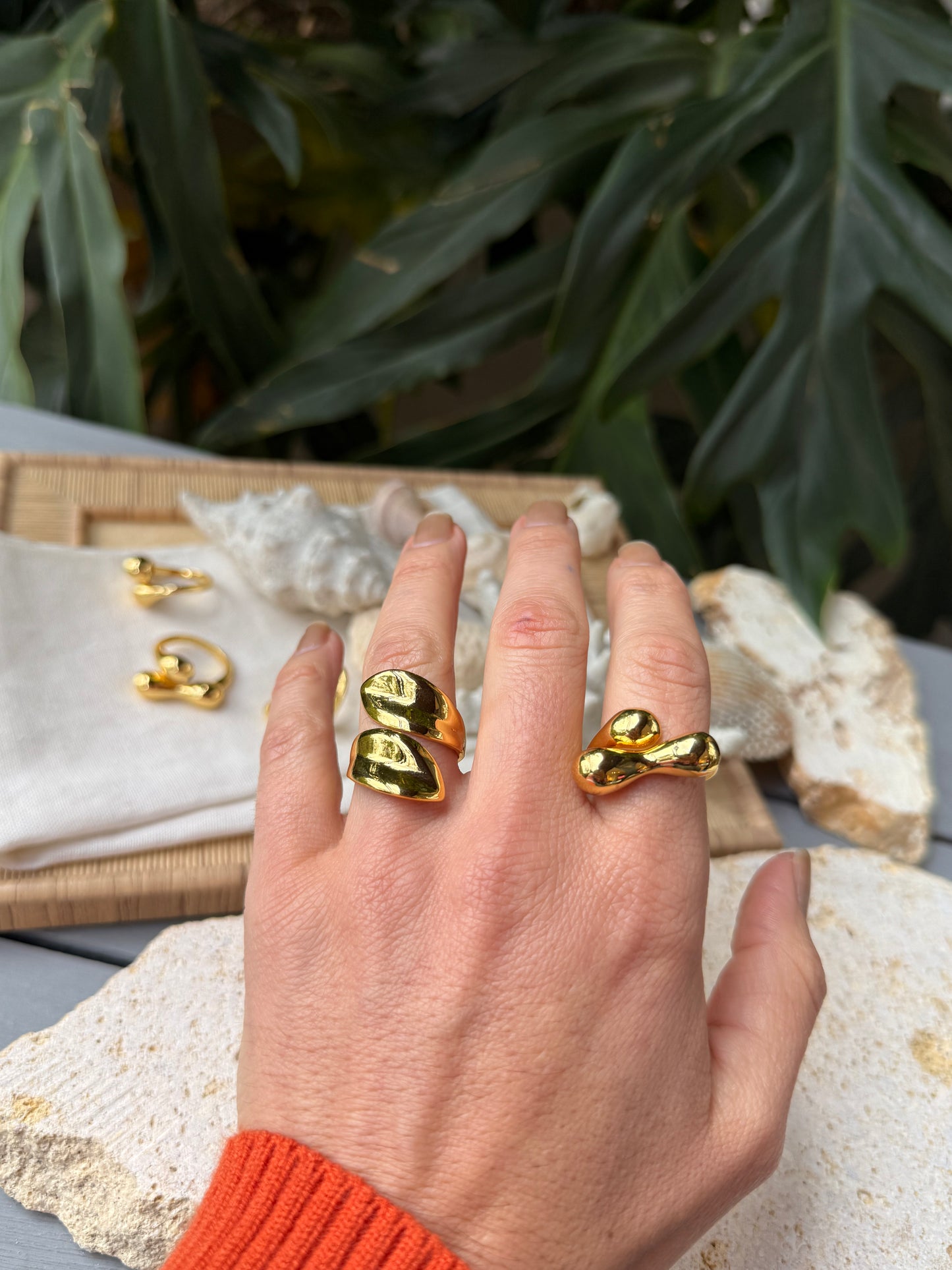 Anillo graduable