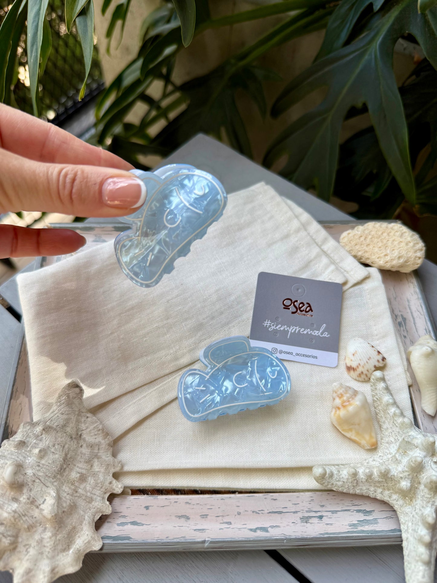 caimán nácar pez azul mediano hairclip