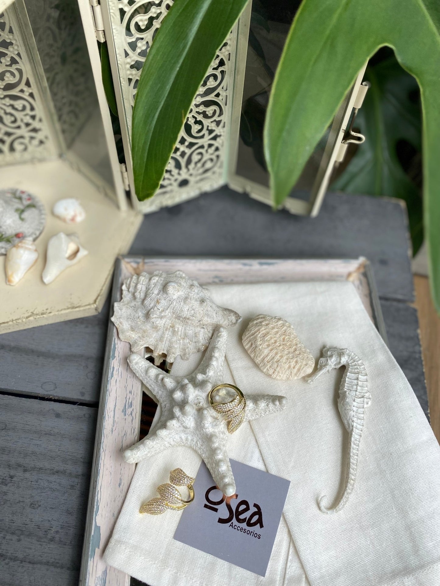 Anillo graduable hojas y circones - Osea accesorios
