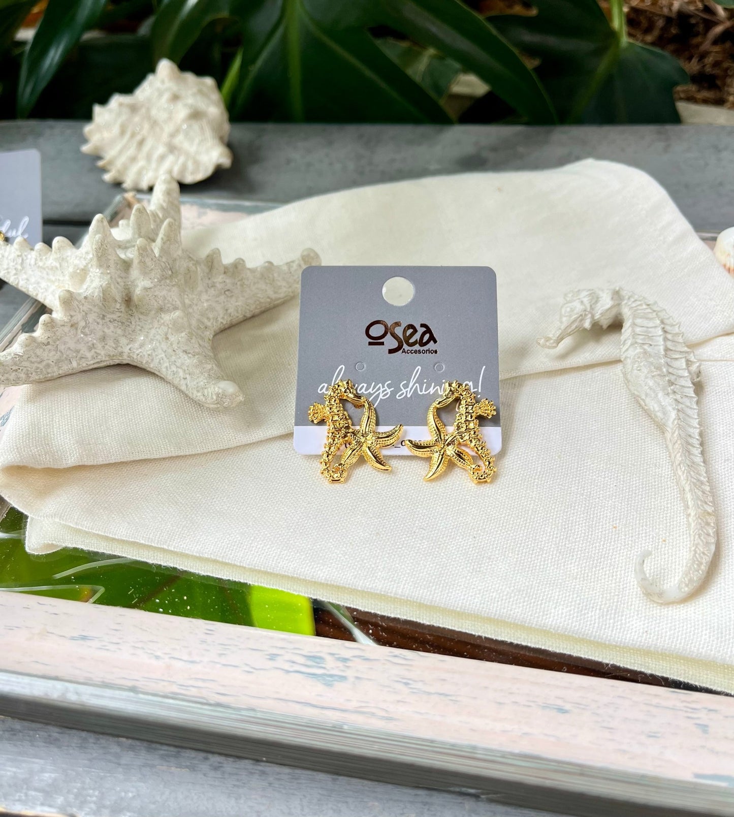 Arete caballito y estrella de mar - Osea accesorios