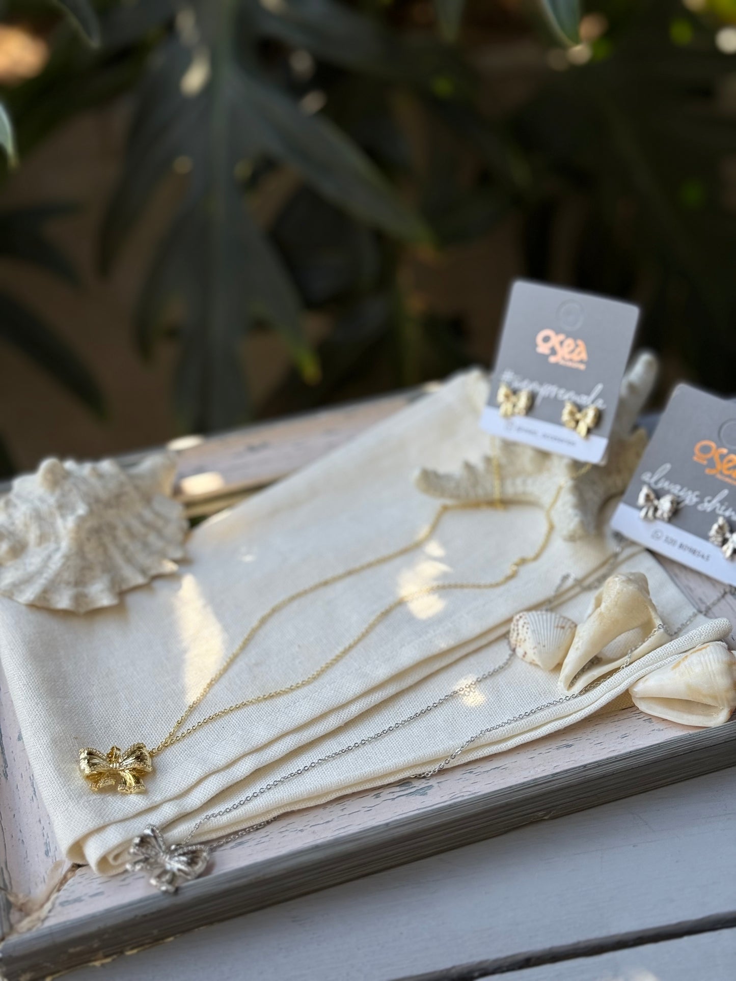 Set Cadena y topos rodinados moño